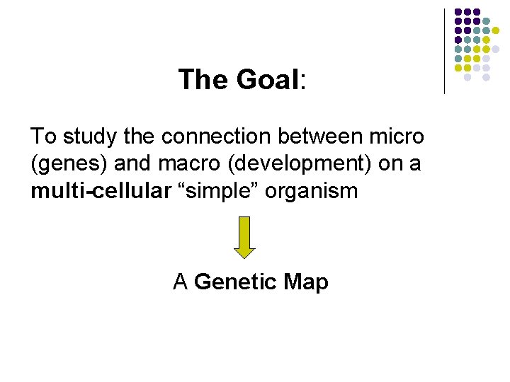 The Goal: To study the connection between micro (genes) and macro (development) on a