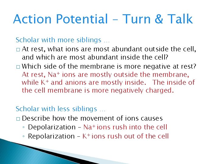 Action Potential – Turn & Talk Scholar with more siblings … � At rest,