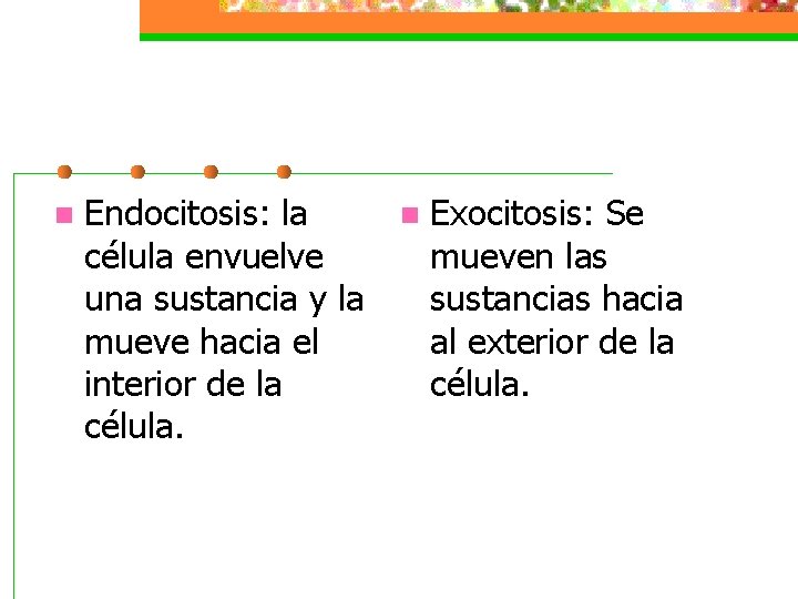 n Endocitosis: la célula envuelve una sustancia y la mueve hacia el interior de
