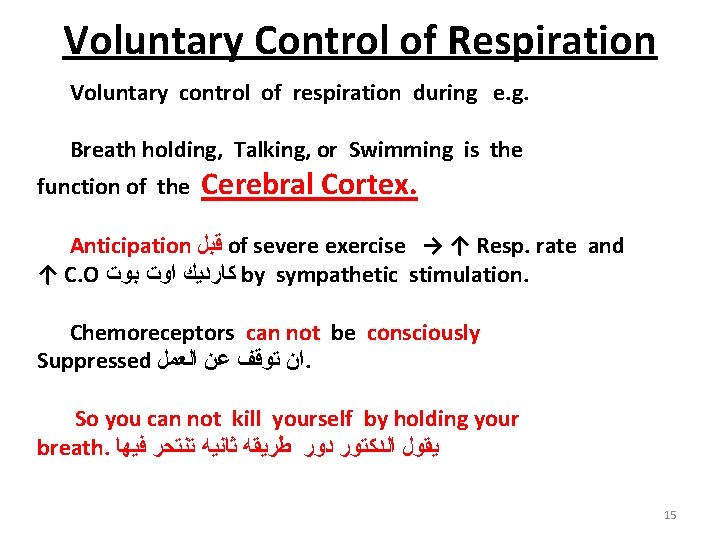Voluntary Control of Respiration Voluntary control of respiration during e. g. Breath holding, Talking,