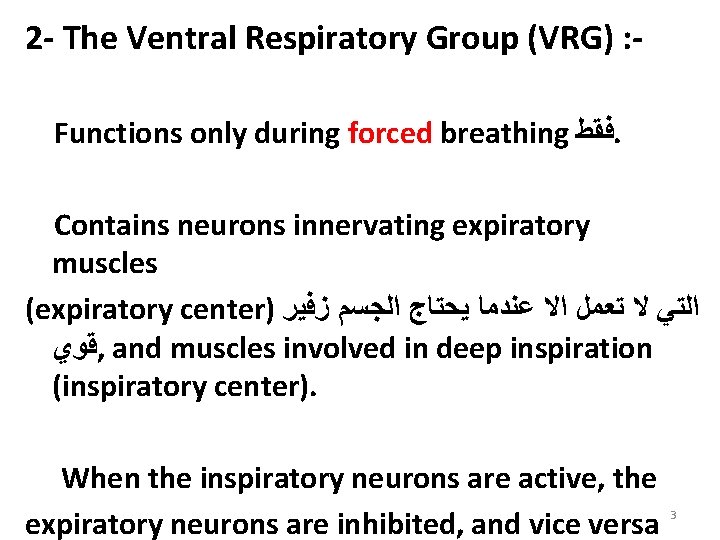 2 - The Ventral Respiratory Group (VRG) : Functions only during forced breathing ﻓﻘﻂ.