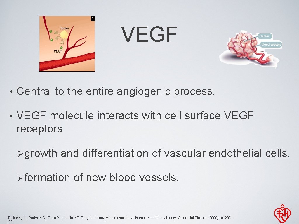 VEGF • Central to the entire angiogenic process. • VEGF molecule interacts with cell