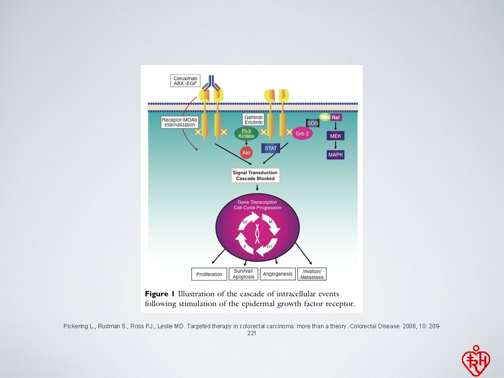 Pickering L. , Rudman S. , Ross PJ. , Leslie MD. Targeted therapy in