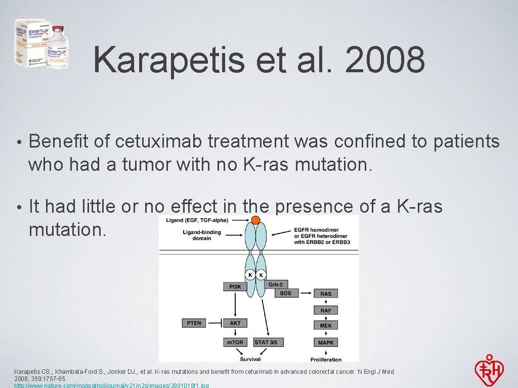 Karapetis et al. 2008 • Benefit of cetuximab treatment was confined to patients who