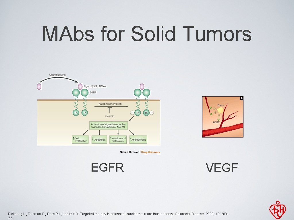 MAbs for Solid Tumors EGFR VEGF Pickering L. , Rudman S. , Ross PJ.