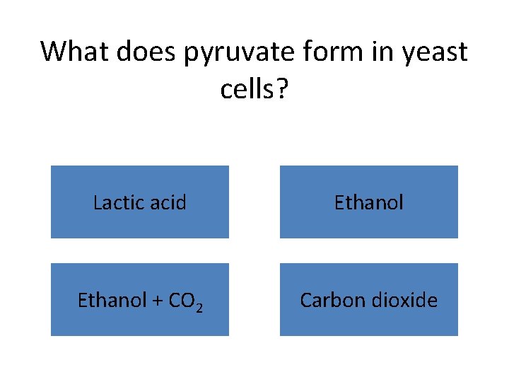 What does pyruvate form in yeast cells? Lactic acid Ethanol + CO 2 Carbon