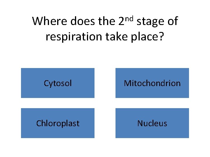 Where does the 2 nd stage of respiration take place? Cytosol Mitochondrion Chloroplast Nucleus Where does the 2 nd stage of respiration take place? Cytosol Mitochondrion Chloroplast Nucleus