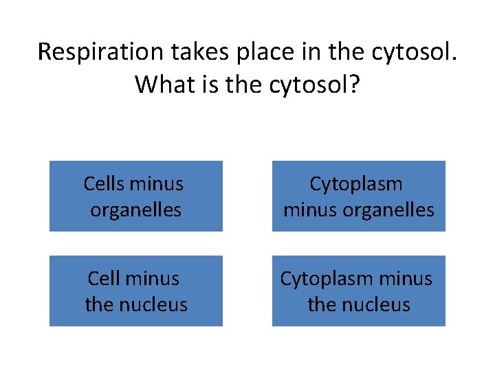 Respiration takes place in the cytosol. What is the cytosol? Cells minus organelles Cytoplasm Respiration takes place in the cytosol. What is the cytosol? Cells minus organelles Cytoplasm