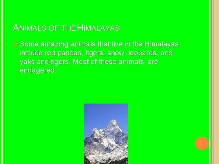 ANIMALS OF THE HIMALAYAS Some amazing animals that live in the Himalayas include red