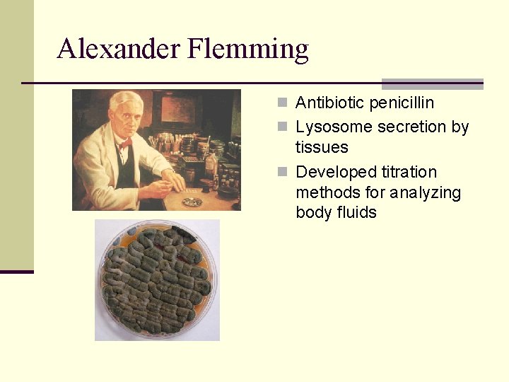 Alexander Flemming n Antibiotic penicillin n Lysosome secretion by tissues n Developed titration methods