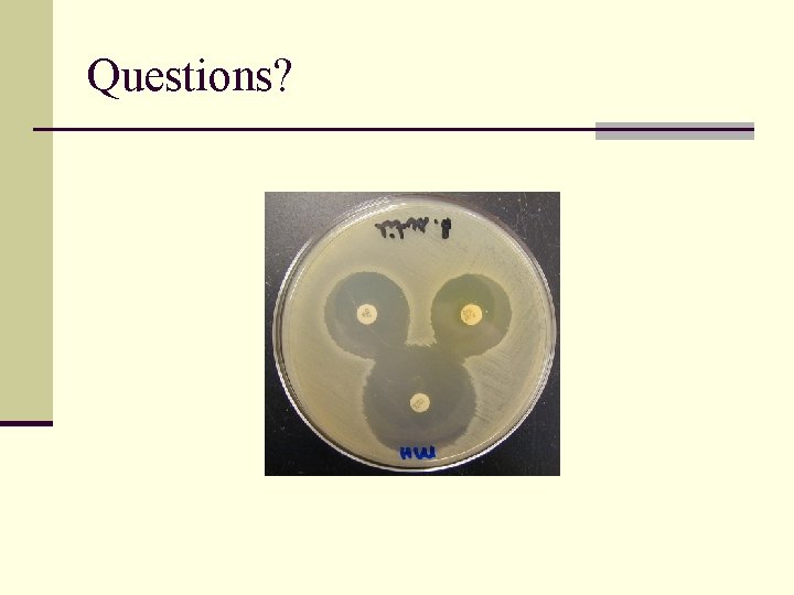 Questions? 