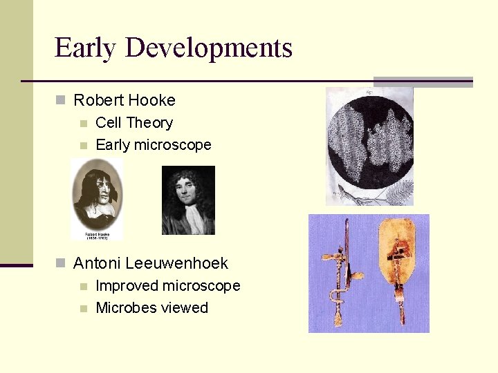 Early Developments n Robert Hooke n Cell Theory n Early microscope n Antoni Leeuwenhoek