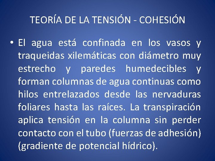 TEORÍA DE LA TENSIÓN - COHESIÓN • El agua está confinada en los vasos