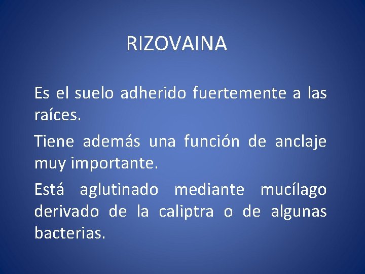 RIZOVAINA Es el suelo adherido fuertemente a las raíces. Tiene además una función de