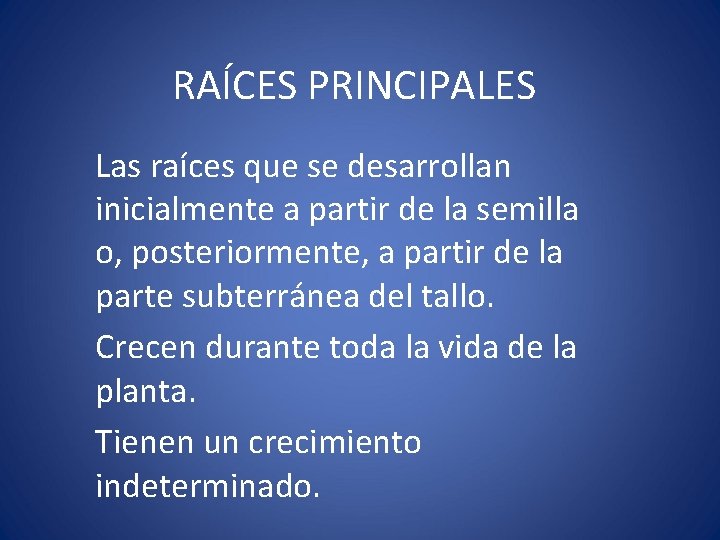 RAÍCES PRINCIPALES Las raíces que se desarrollan inicialmente a partir de la semilla o,