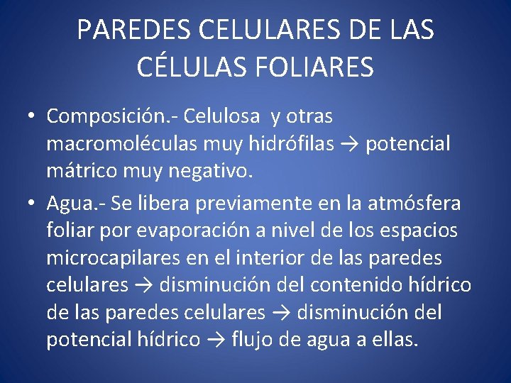 PAREDES CELULARES DE LAS CÉLULAS FOLIARES • Composición. - Celulosa y otras macromoléculas muy