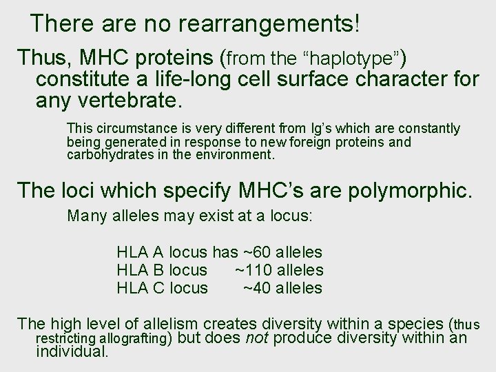 There are no rearrangements! Thus, MHC proteins (from the “haplotype”) constitute a life-long cell