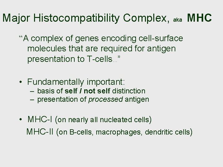 Major Histocompatibility Complex, aka MHC “A complex of genes encoding cell-surface molecules that are