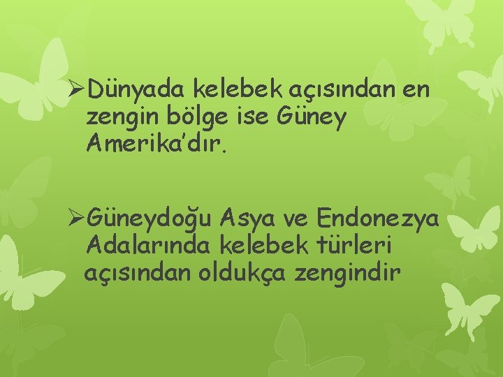 ØDünyada kelebek açısından en zengin bölge ise Güney Amerika’dır. ØGüneydoğu Asya ve Endonezya Adalarında