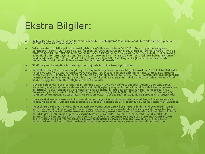 Ekstra Bilgiler: Kelebek, böceklerin, pul kanatlılar veya kelebekler (Lepidoptera) takımının kanatlı fertlerine verilen genel