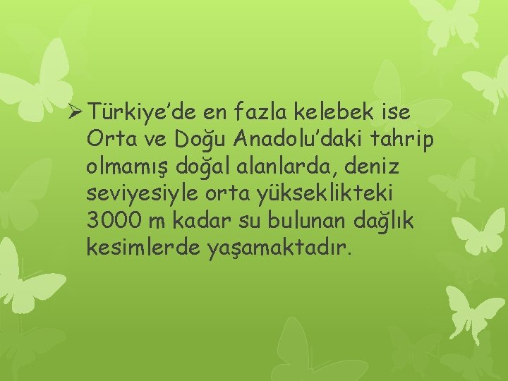 Ø Türkiye’de en fazla kelebek ise Orta ve Doğu Anadolu’daki tahrip olmamış doğal alanlarda,