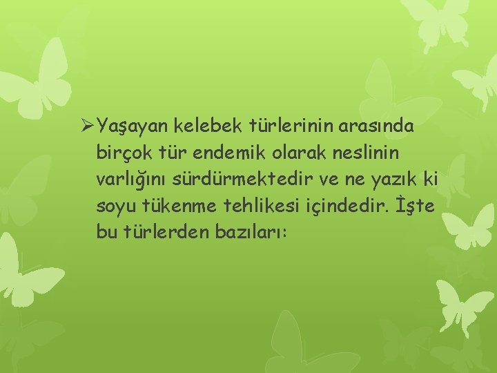 ØYaşayan kelebek türlerinin arasında birçok tür endemik olarak neslinin varlığını sürdürmektedir ve ne yazık