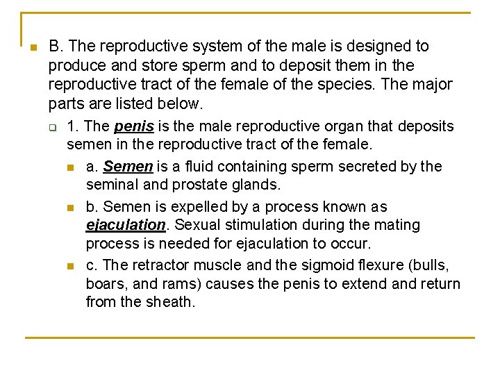 n B. The reproductive system of the male is designed to produce and store