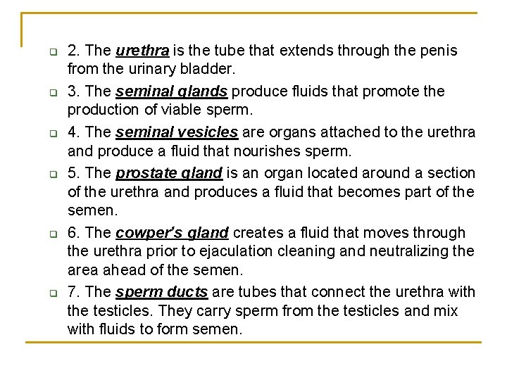 q q q 2. The urethra is the tube that extends through the penis