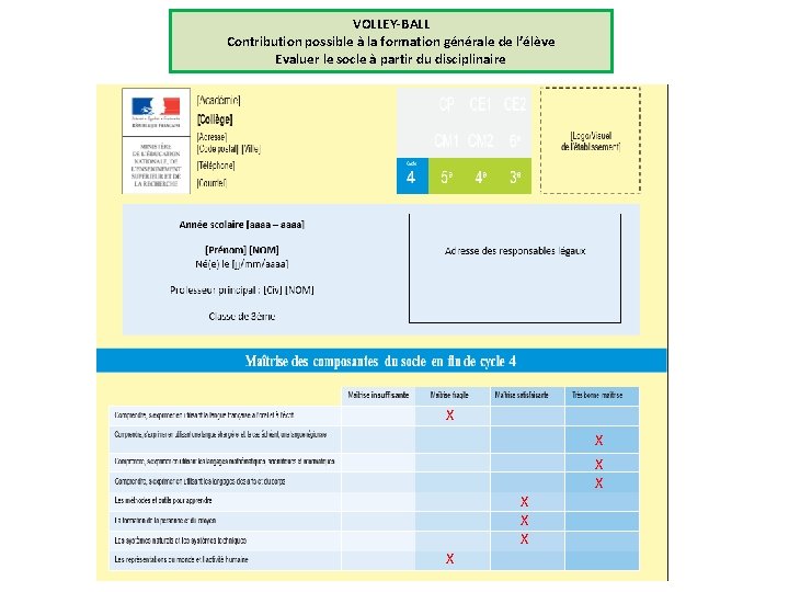 VOLLEY-BALL Contribution possible à la formation générale de l’élève Evaluer le socle à partir