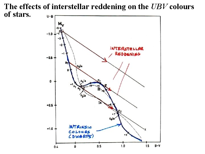 The effects of interstellar reddening on the UBV colours of stars. 