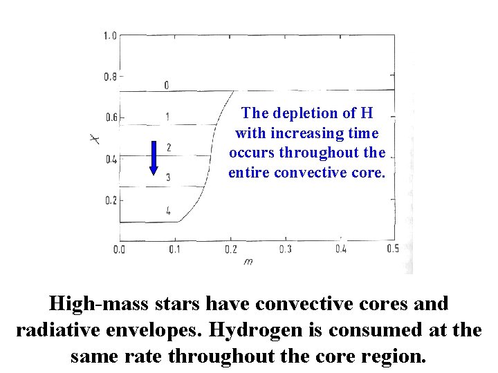 The depletion of H with increasing time occurs throughout the entire convective core. High-mass