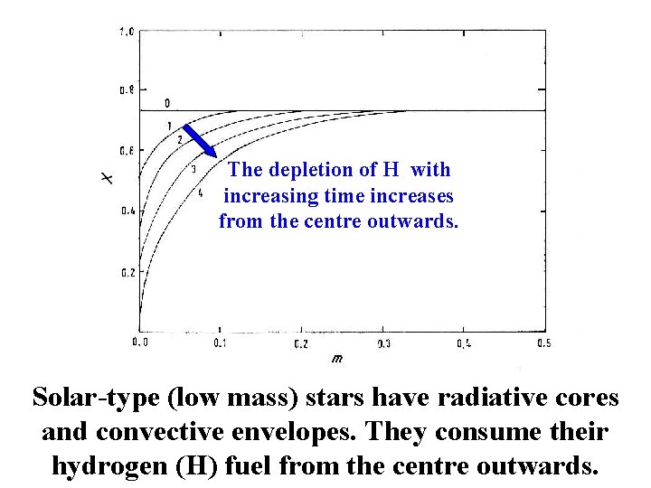 The depletion of H with increasing time increases from the centre outwards. Solar-type (low