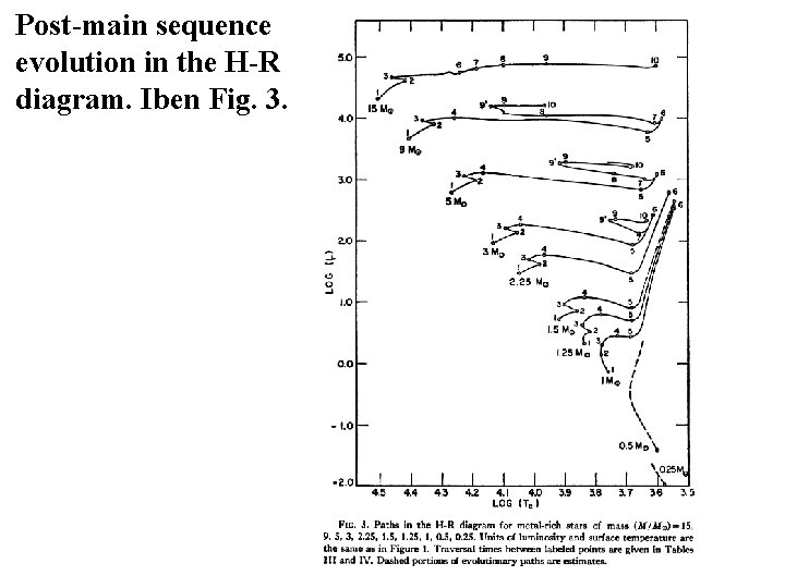 Post-main sequence evolution in the H-R diagram. Iben Fig. 3. 