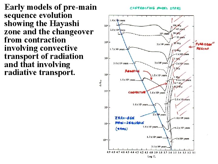 Early models of pre-main sequence evolution showing the Hayashi zone and the changeover from