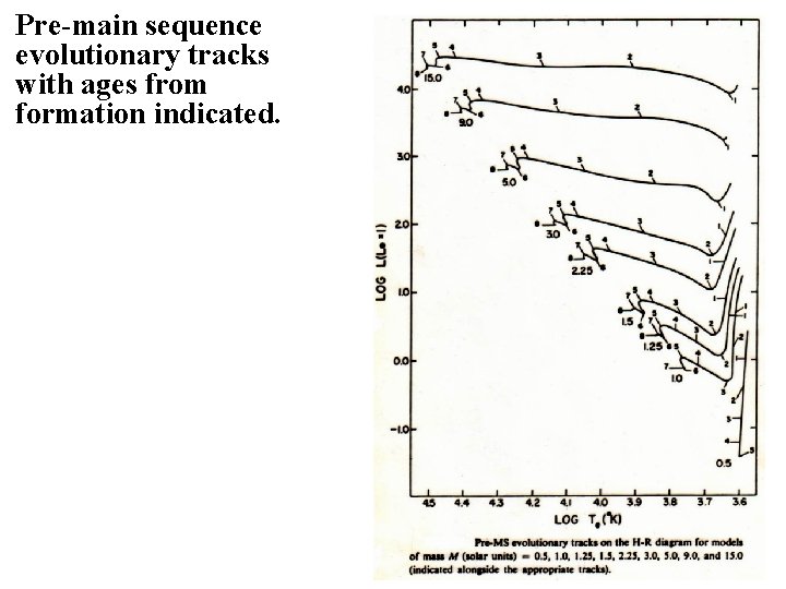 Pre-main sequence evolutionary tracks with ages from formation indicated. 