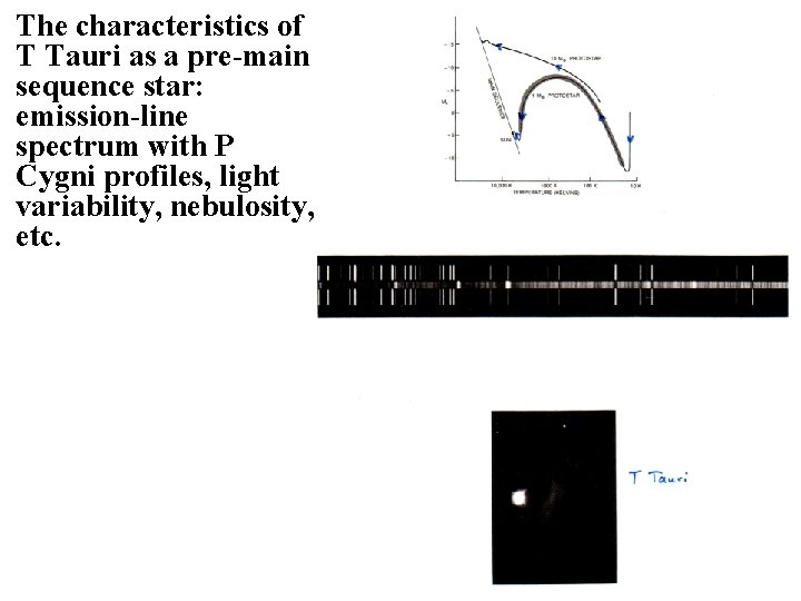 The characteristics of T Tauri as a pre-main sequence star: emission-line spectrum with P