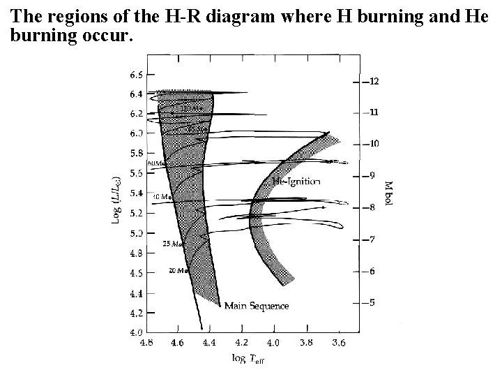 The regions of the H-R diagram where H burning and He burning occur. 