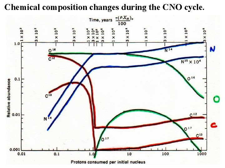 Chemical composition changes during the CNO cycle. 