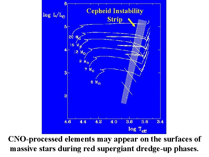 Cepheid Instability Strip CNO-processed elements may appear on the surfaces of massive stars during