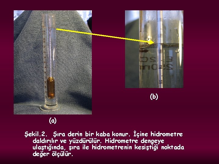 (b) (a) Şekil. 2. Şıra derin bir kaba konur. İçine hidrometre daldırılır ve yüzdürülür.