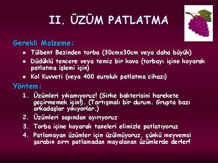 II. ÜZÜM PATLATMA Gerekli Malzeme: n n n Tülbent Bezinden torba (30 cmx 30