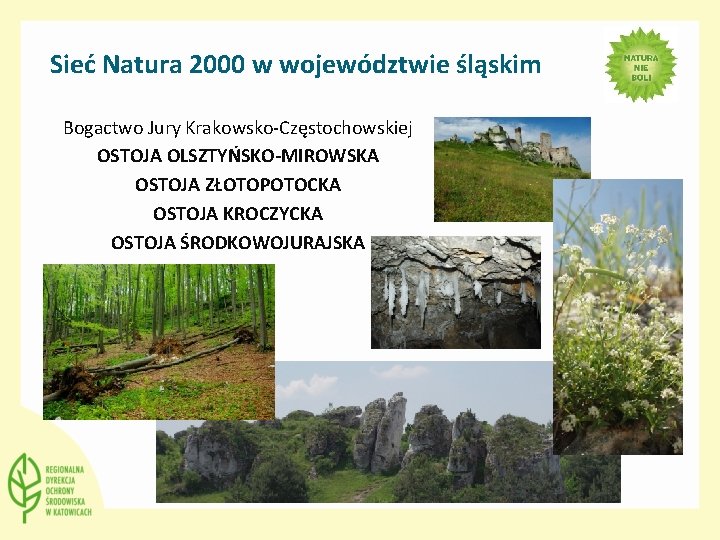 Sieć Natura 2000 w województwie śląskim Bogactwo Jury Krakowsko-Częstochowskiej OSTOJA OLSZTYŃSKO-MIROWSKA OSTOJA ZŁOTOPOTOCKA OSTOJA