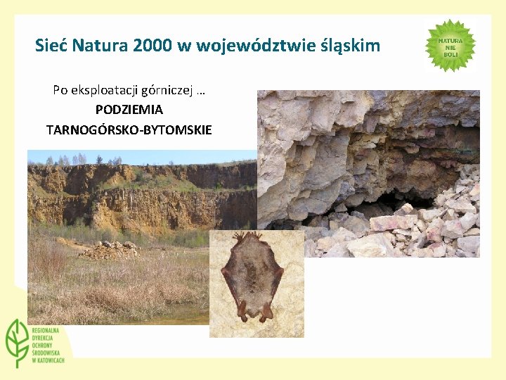 Sieć Natura 2000 w województwie śląskim Po eksploatacji górniczej … PODZIEMIA TARNOGÓRSKO-BYTOMSKIE 