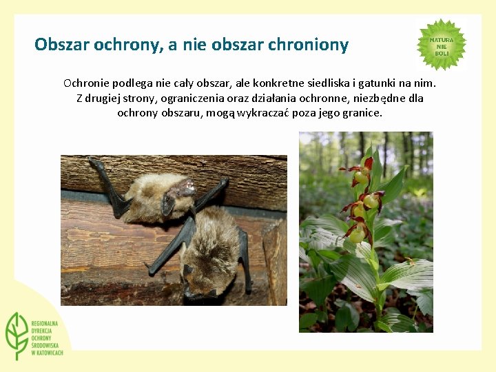 Obszar ochrony, a nie obszar chroniony Ochronie podlega nie cały obszar, ale konkretne siedliska