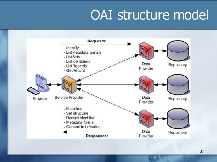 OAI structure model 37 