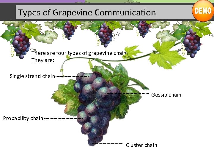 Types of Grapevine Communication There are four types of grapevine chains. They are: Single