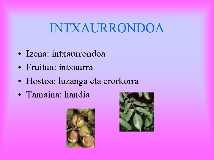 INTXAURRONDOA • • Izena: intxaurrondoa Fruitua: intxaurra Hostoa: luzanga eta erorkorra Tamaina: handia 