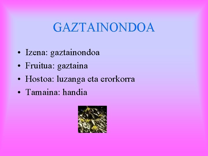 GAZTAINONDOA • • Izena: gaztainondoa Fruitua: gaztaina Hostoa: luzanga eta erorkorra Tamaina: handia 