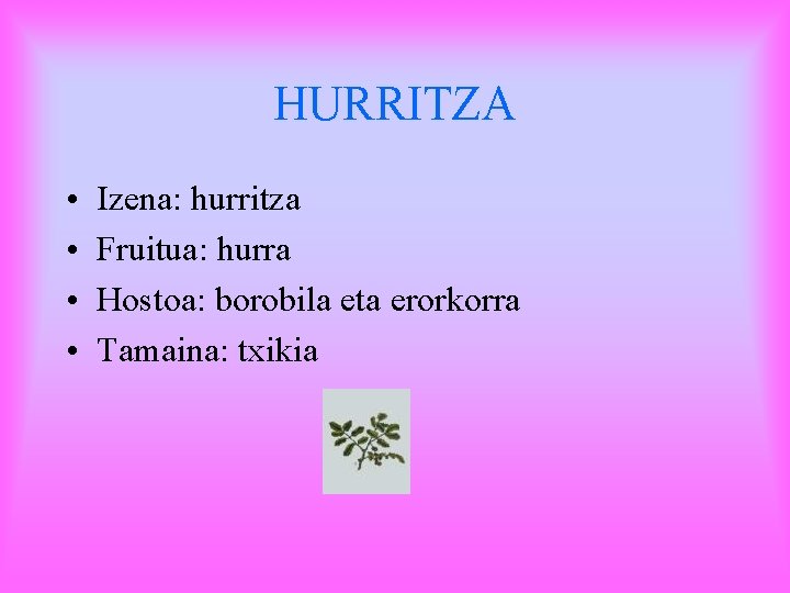 HURRITZA • • Izena: hurritza Fruitua: hurra Hostoa: borobila eta erorkorra Tamaina: txikia 
