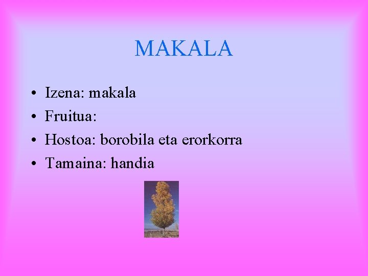 MAKALA • • Izena: makala Fruitua: Hostoa: borobila eta erorkorra Tamaina: handia 